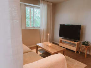 Cozy and newly renovated appartment